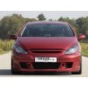 PARE CHOC PEUGEOT 307 RIEGER ABS AVANT